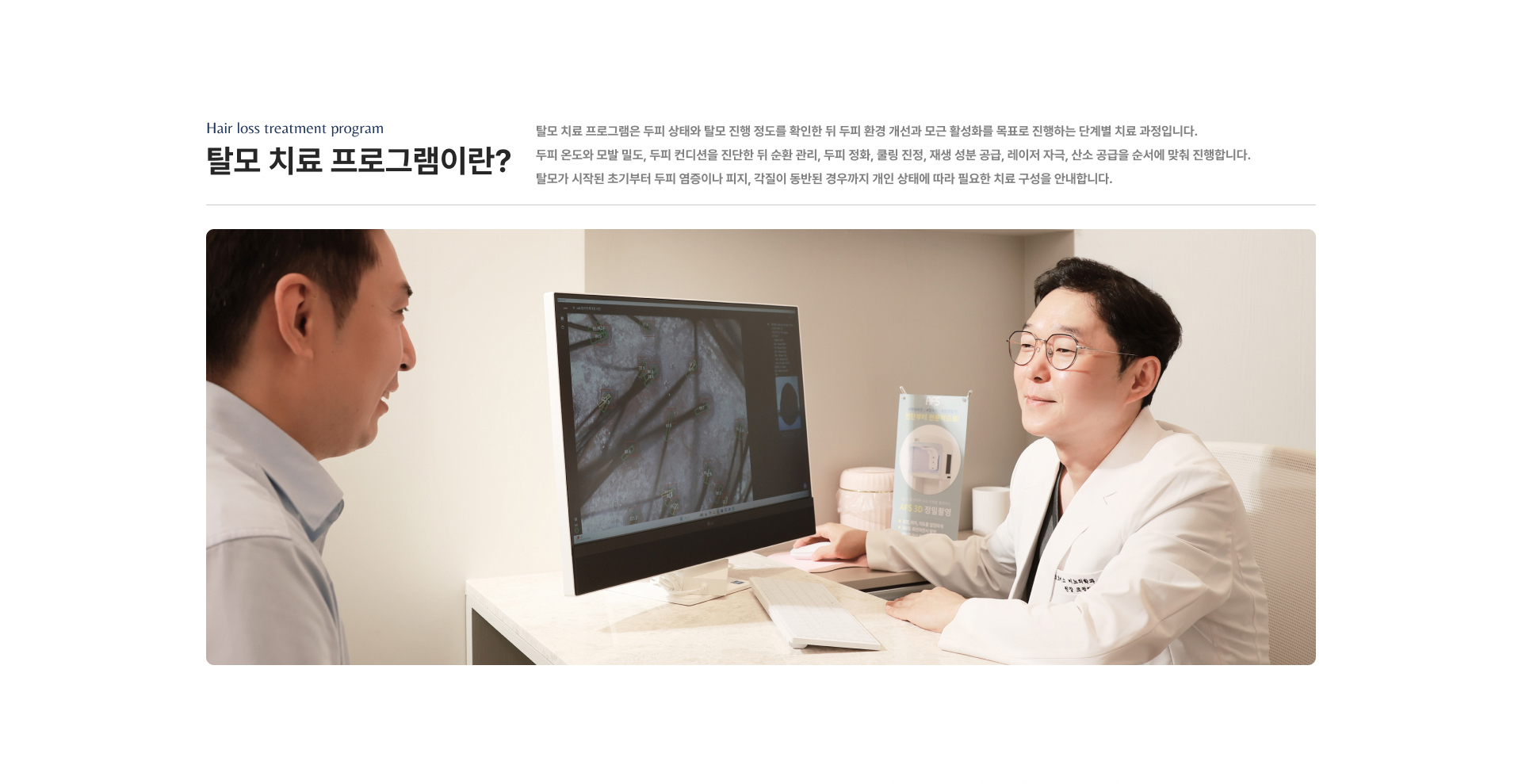 탈모치료프로그램