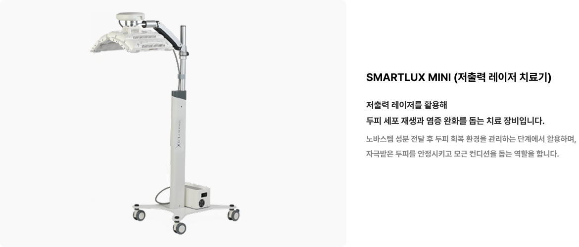탈모치료프로그램