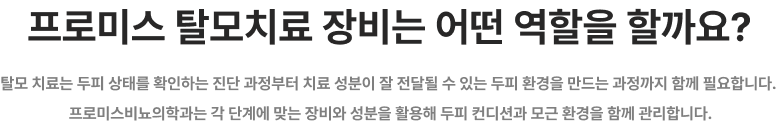 탈모치료프로그램