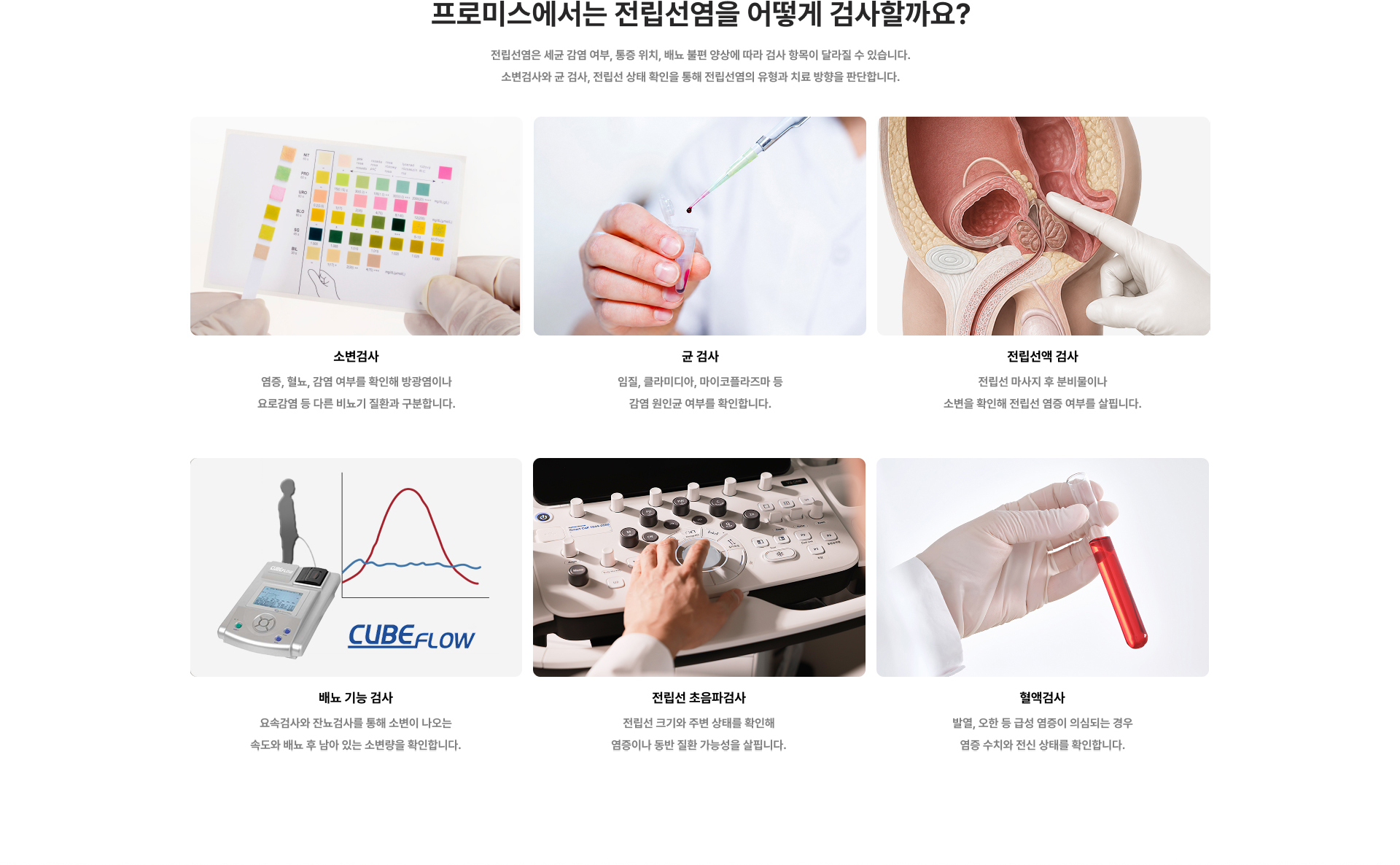전립선염